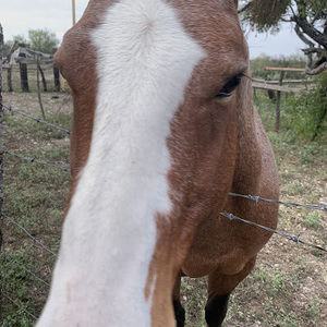 Meet your Posher, Jorge